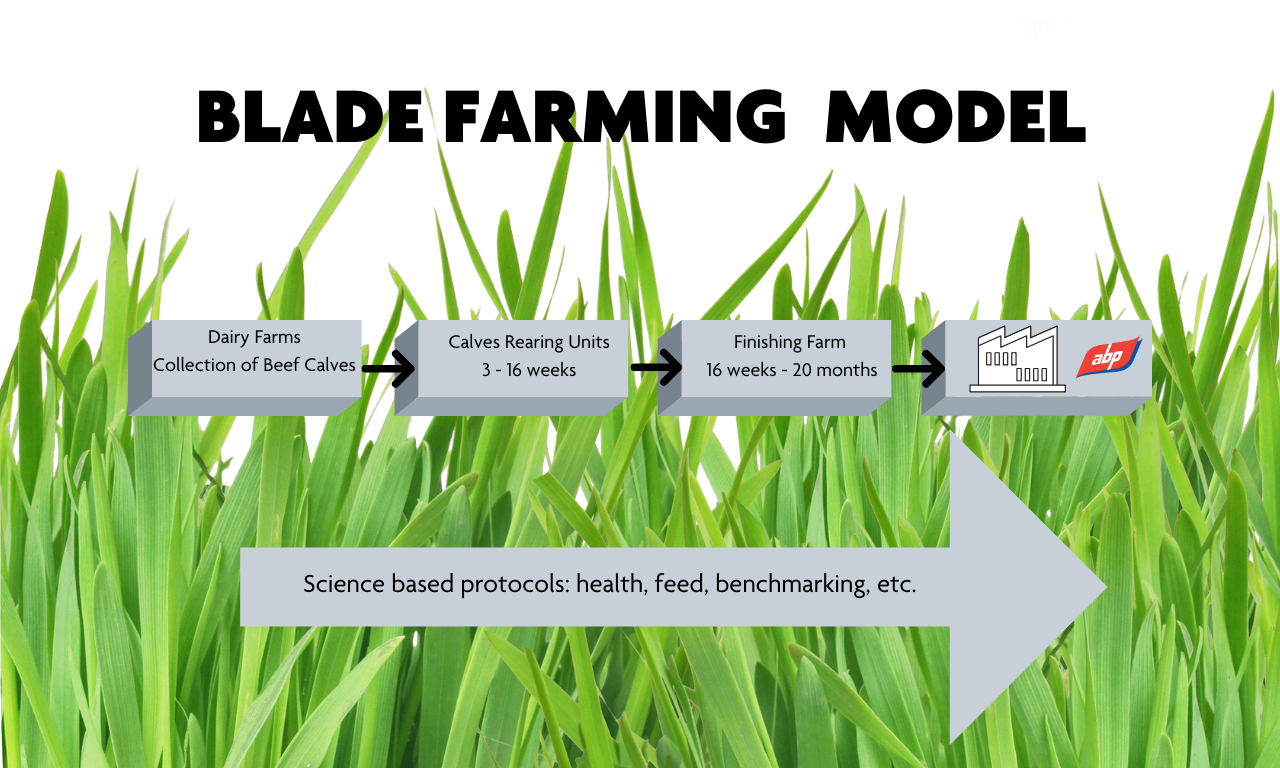 Blade Farming Model